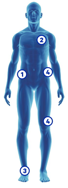 Immagine del corpo umano